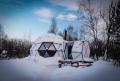 Домики в сосновом лесу